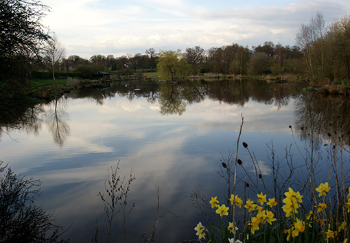 Photograph of Woodside Pool