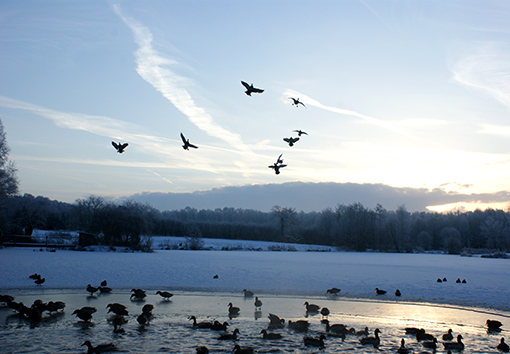 Photograph of St Mary's Pool during WInter