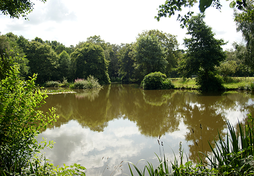 Photograph of Coarse Fishing pool at Marton Heath
